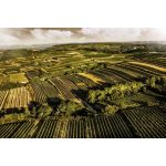 Birgit x Birgit - Minikóstoló