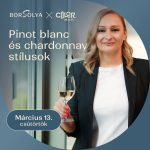 Borsolya x Color - Pinot Blanc és Chardonnay stílusok