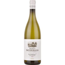 BRÜNDLMAYER Grüner Veltliner Kaferberg Erste Lage