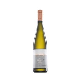 HUBER Riesling Berg Erste Lage Traisental DAC Reserve 