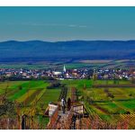 PRIELER Blaufrankisch Special Trió csomag