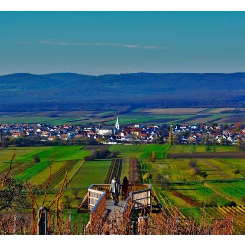 PRIELER Blaufrankisch Special Trió csomag