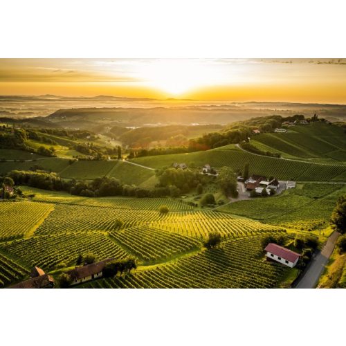 SKOFF Sauvignon Blanc Prémium csomag