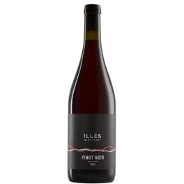 Illés Badacsonyi Pinot Noir