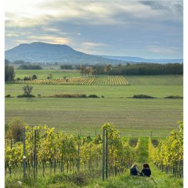 Illés Badacsonyi 6os Tavasz szelekció