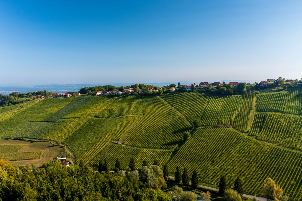 wielitsch steiermark austria