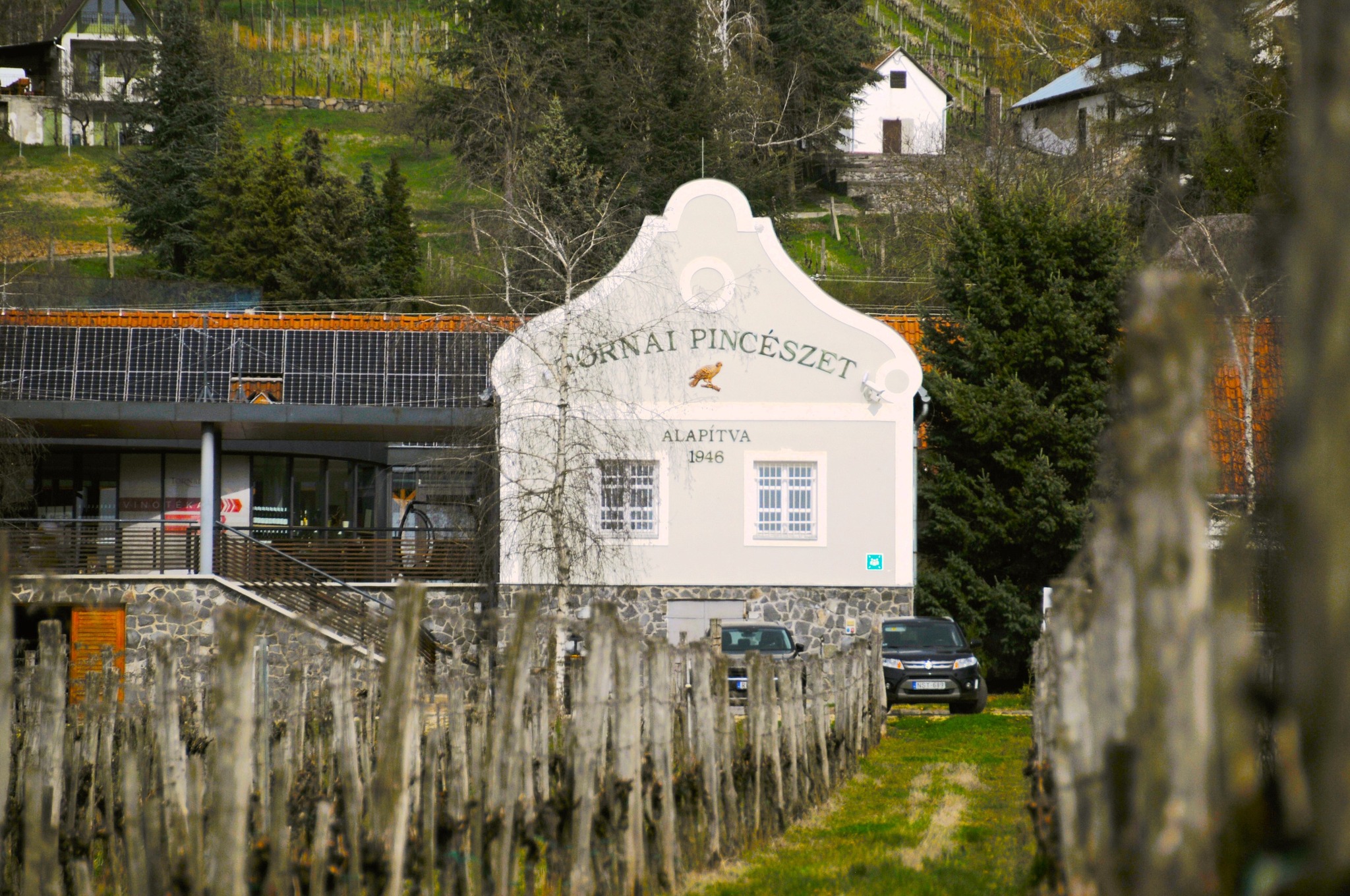tornai pincészet somló