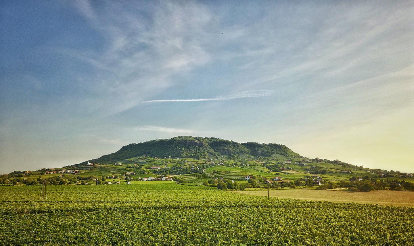 balaton borrégió, somlói borvidék